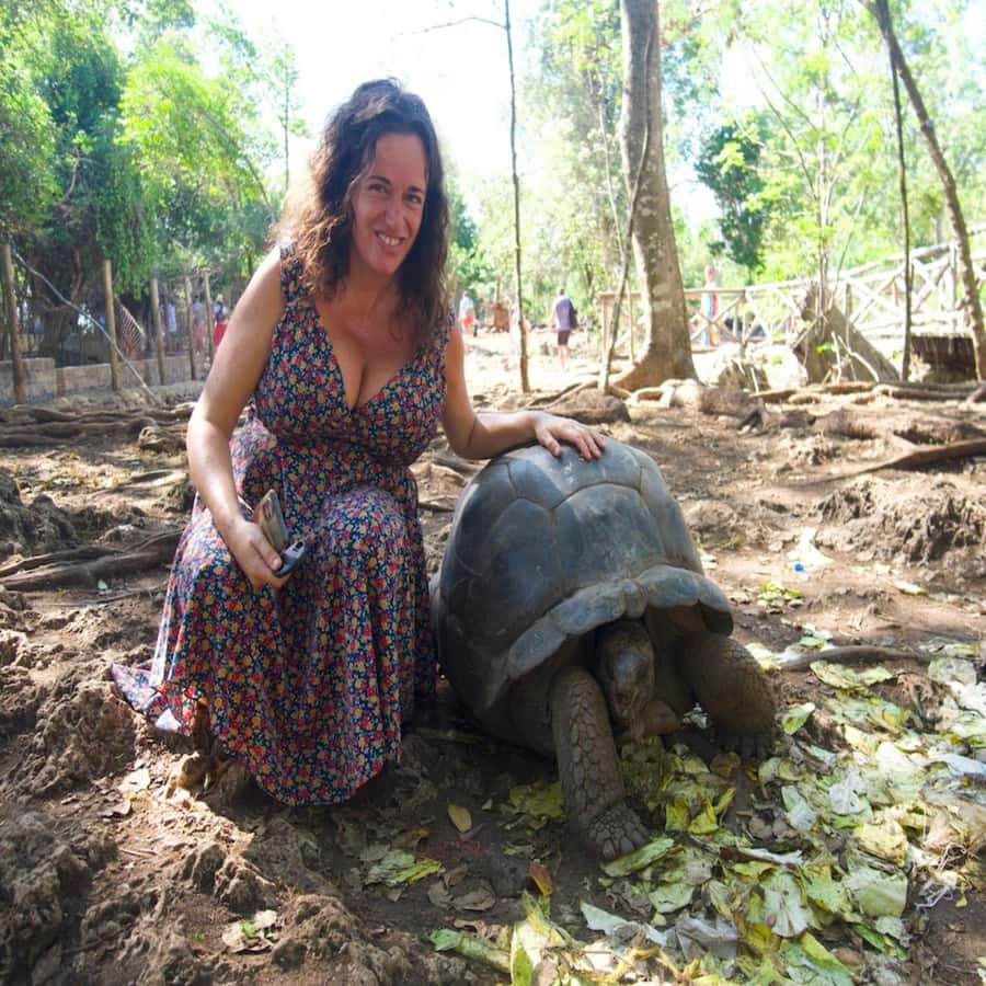 ZANZIBAR: Prison Island, Spice Farm Visit & Turtle Swim Tour - Stone Town passes by: why that matters even when you don’t stop