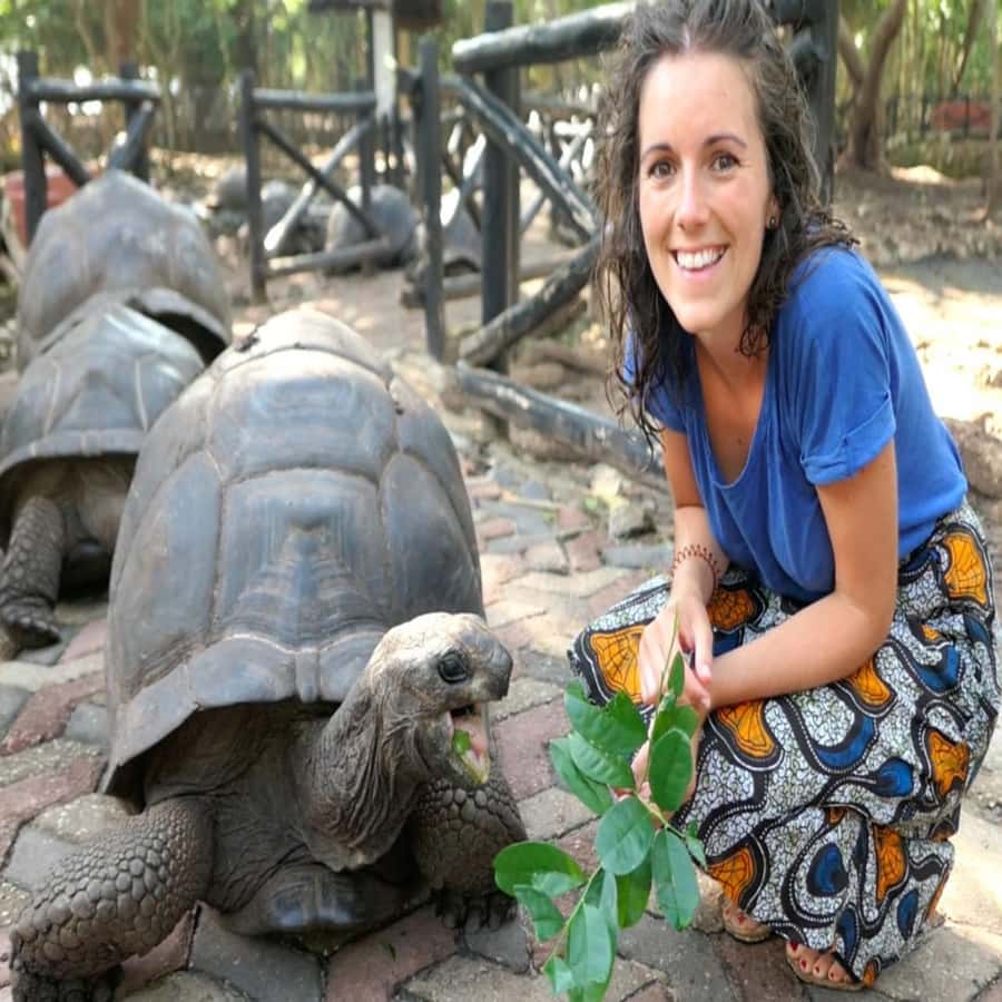 ZANZIBAR: Prison Island, Spice Farm Visit & Turtle Swim Tour - What you taste (and how to make the tasting count)
