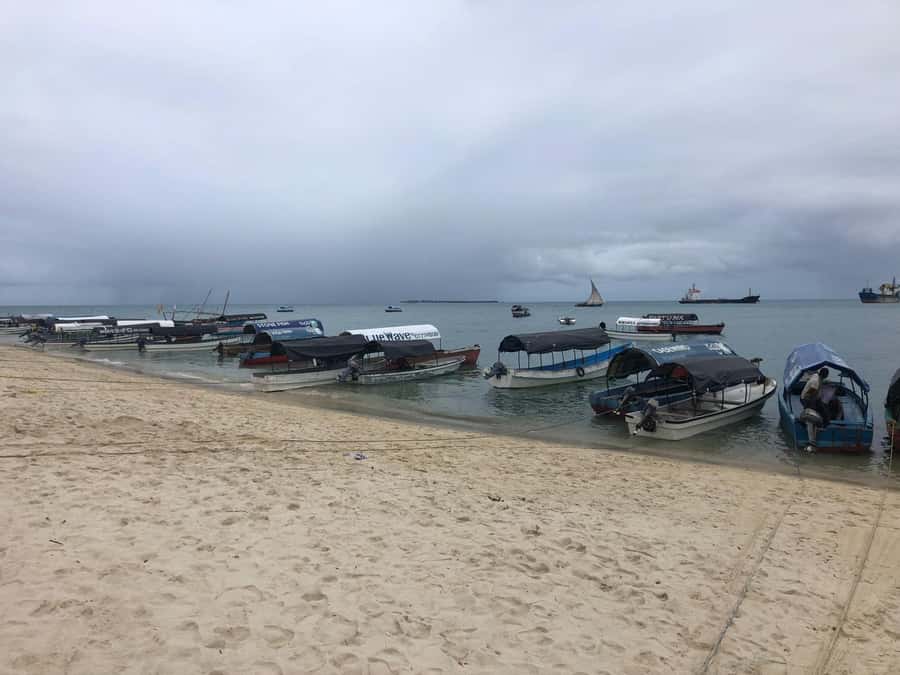 Zanzibar: Prison Island, Stone Town, & Spice Farm Tour - Prison Island (Changuu) and the 1893 Prison Story
