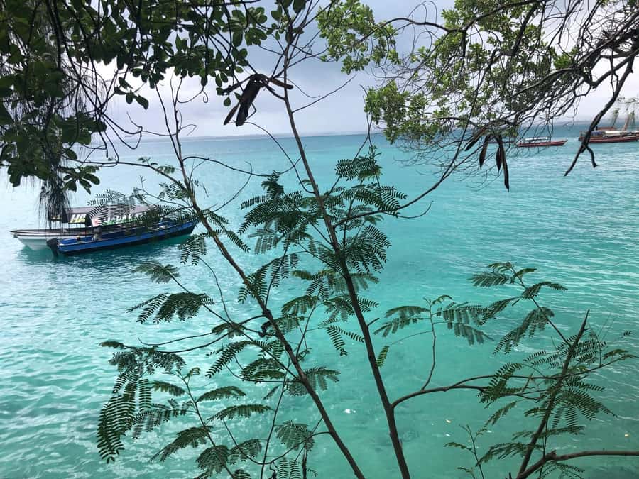 Zanzibar: Prison Island, Stone Town, & Spice Farm Tour - FAQ
