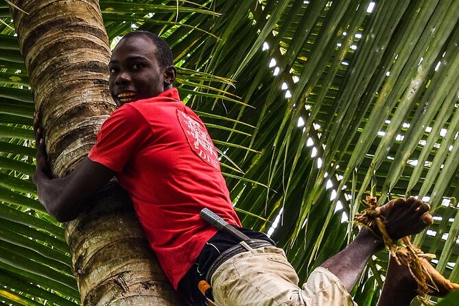 Zanzibar Private Spice Farm and Stonetown Tour(Include Lunch) - Old Slave Market and Anglican Cathedral: the lesson you’ll remember
