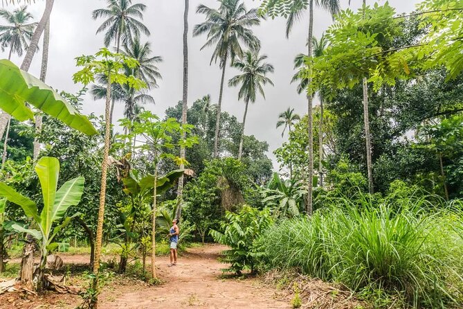 Zanzibar Private Spice Farm and Stonetown Tour(Include Lunch) - Price and value: what you’re really paying for at $76