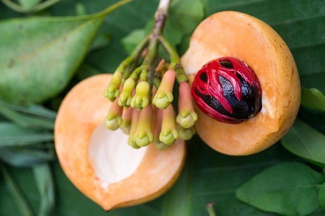 Zanzibar Spice Farm Half-Day Walking Tour - Sampling spices and field-fresh fruit: the best part for most people