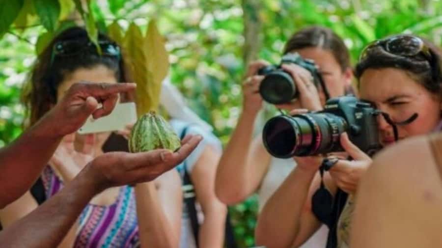 Zanzibar: Spice Farm, Jozani Forest & Sea Turtle Sanctuary - Salaam Cave Sea Turtle Sanctuary near Kizimkazi Beach