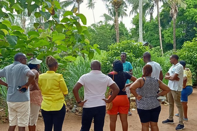 Zanzibar Spice Farm Tour - What you’ll taste: pairings that make spices click
