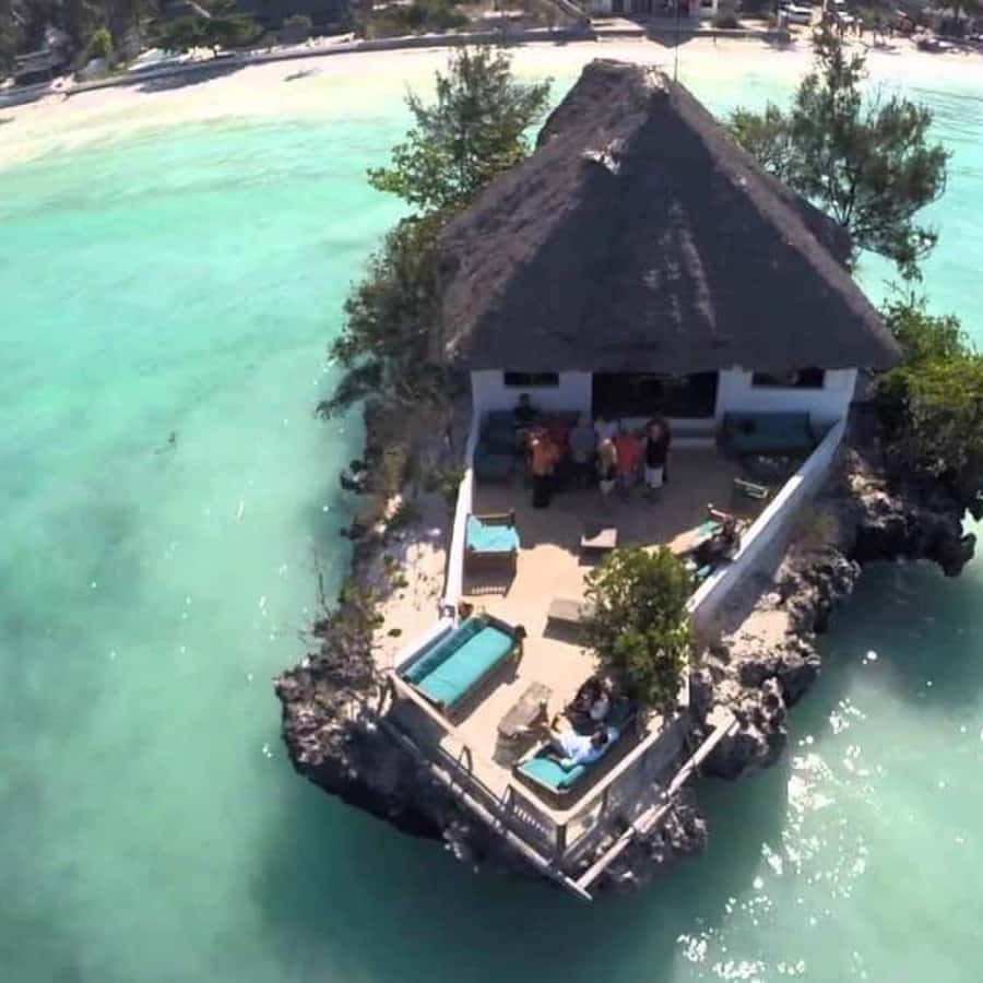 ZANZIBAR: Spice Farm Tour, Jozani Forest & Rock Restaurant - Key highlights you’ll actually remember