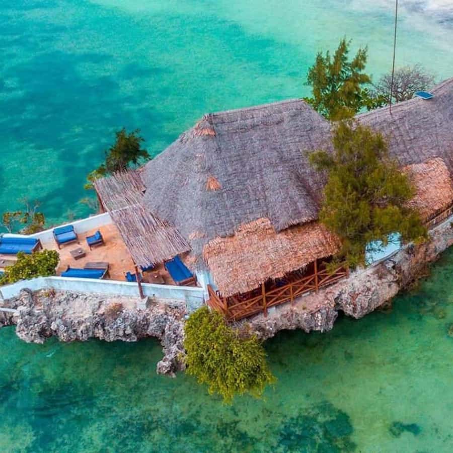 ZANZIBAR: Spice Farm Tour, Jozani Forest & Rock Restaurant - A smart full-day route through Zanzibar’s spices and forest