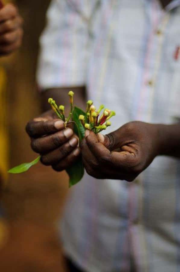 Zanzibar: Spice Farm Tour & Stone Town Adventure - Fruit Tasting: A Simple Session That Actually Adds Value