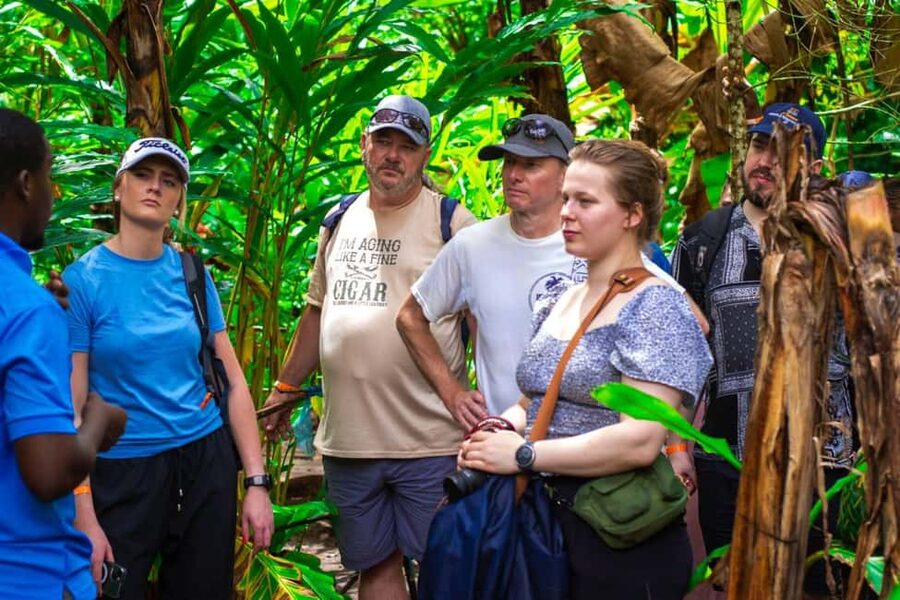 Zanzibar: Spice Farm Tour with Lunch & Tropical Fruits - Key Things I’d Be Excited About