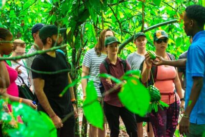 Zanzibar: Spice Farm Tour with Lunch & Tropical Fruits - The Guided Walk: Cloves, Cinnamon, Nutmeg, Vanilla, and Friends