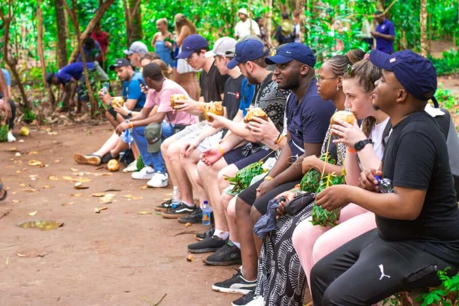 Zanzibar: Spice Farm Tour with Lunch & Tropical Fruits - Who This Tour Fits Best (and Who Might Skip It)