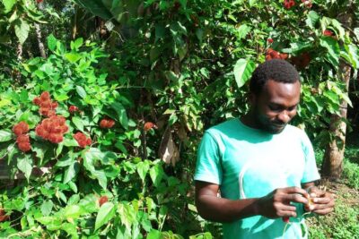 Zanzibar: Stone Town City Tour and Spice Farm with Lunch - Old Slave Market Site, Anglican Church, and City Market Fish Auctions