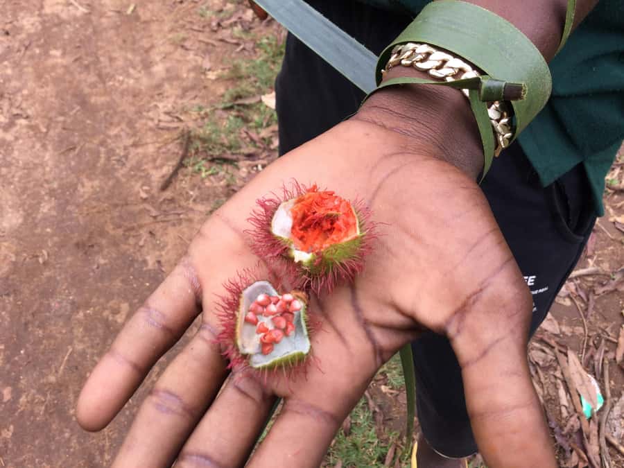 Zanzibar:Stone Town & Spice Farm Private Tour Lunch Included - The private spice farm walk: what you’ll smell, taste, and learn