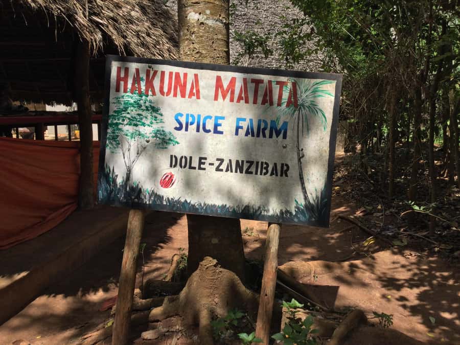 Zanzibar:Stone Town & Spice Farm Private Tour Lunch Included - Fruit tastings and the spice shop: where souvenirs should feel meaningful