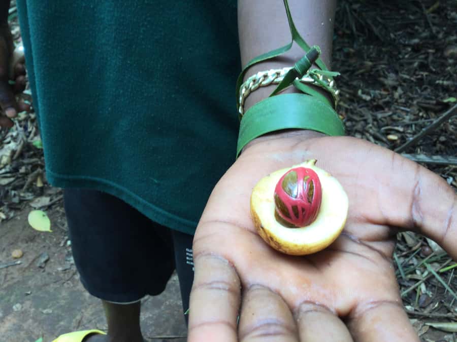 Zanzibar:Stone Town & Spice Farm Private Tour Lunch Included - Stone Town guided route: the landmarks you actually want on day one