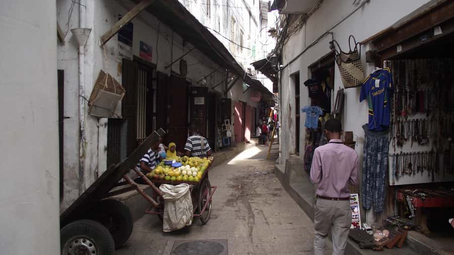 Zanzibar: Stone Town & Spice Farm Tour with Lunch - Palace Museum, Bait-al-ajab, and Old Fort: The Stone Town Hits You Don’t Want to Miss