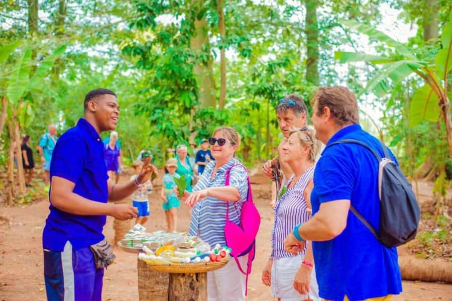 Zanzibar: Walking Spice Farm with Local Cooking Class - Who this tour suits best (and who should adjust expectations)