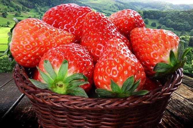 Zhujiajiao Water Town Private Tour with Local Farm Visit and Fruit Picking - Optional Canal Boat Ride: A Nice Add-On if You Want a New View