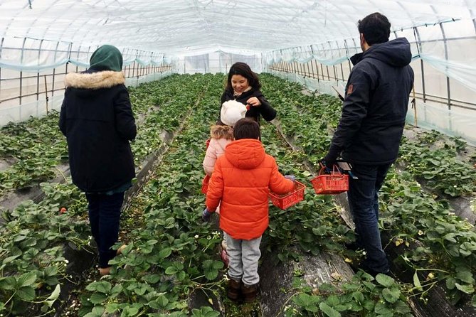 Zhujiajiao Water Town Private Tour with Local Farm Visit and Fruit Picking - Who This Private Tour Fits Best